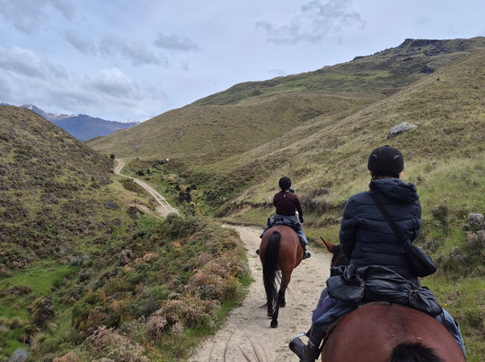 Wanaka Horse Trekking-瓦纳卡必去景点
