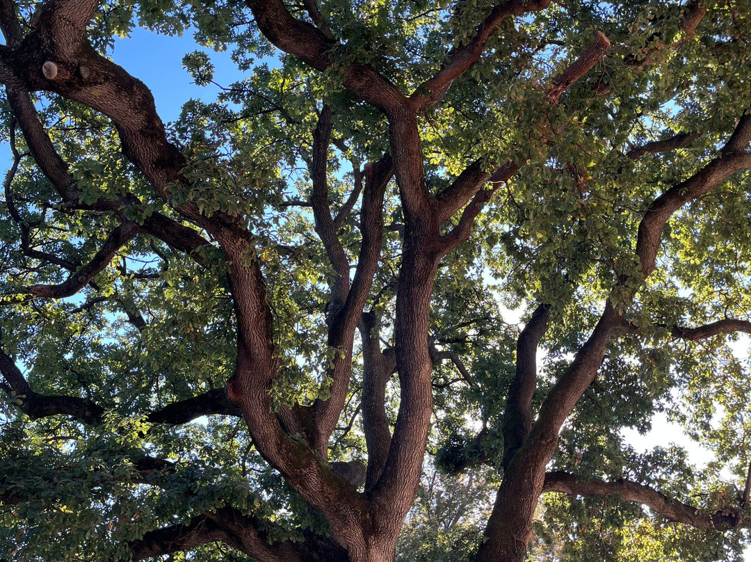 博尔戈斯托利科赛盖缇帕尼齐酒店主图