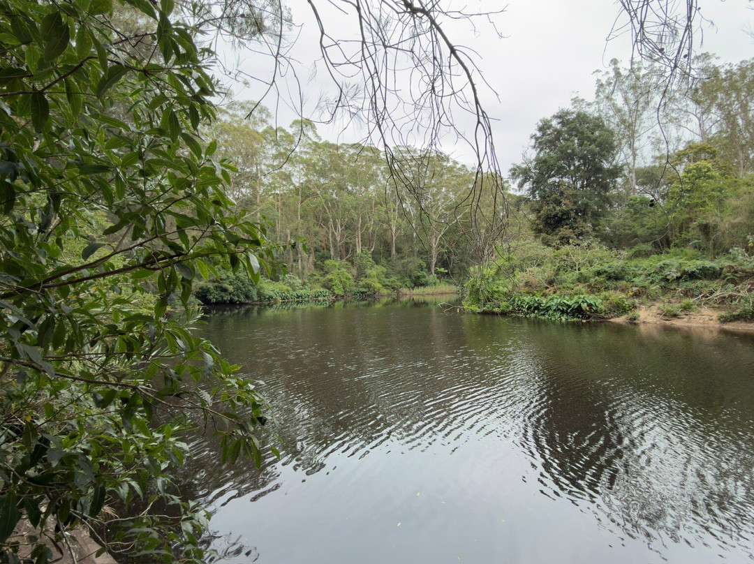 兰湾国家公园-Macquarie Park必去景点