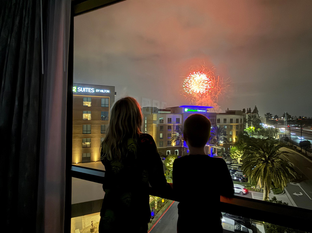 阿纳海姆希尔顿花园度假酒店主图