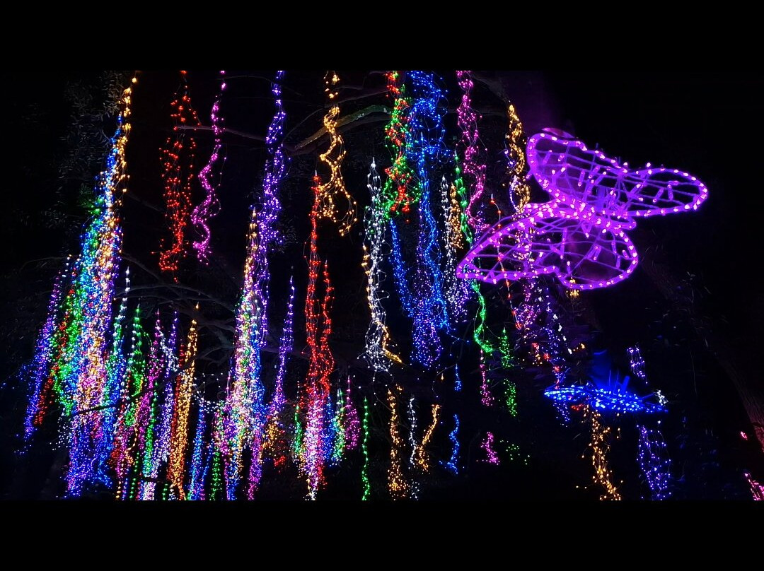 Light Up Trails-罗姆西必去景点