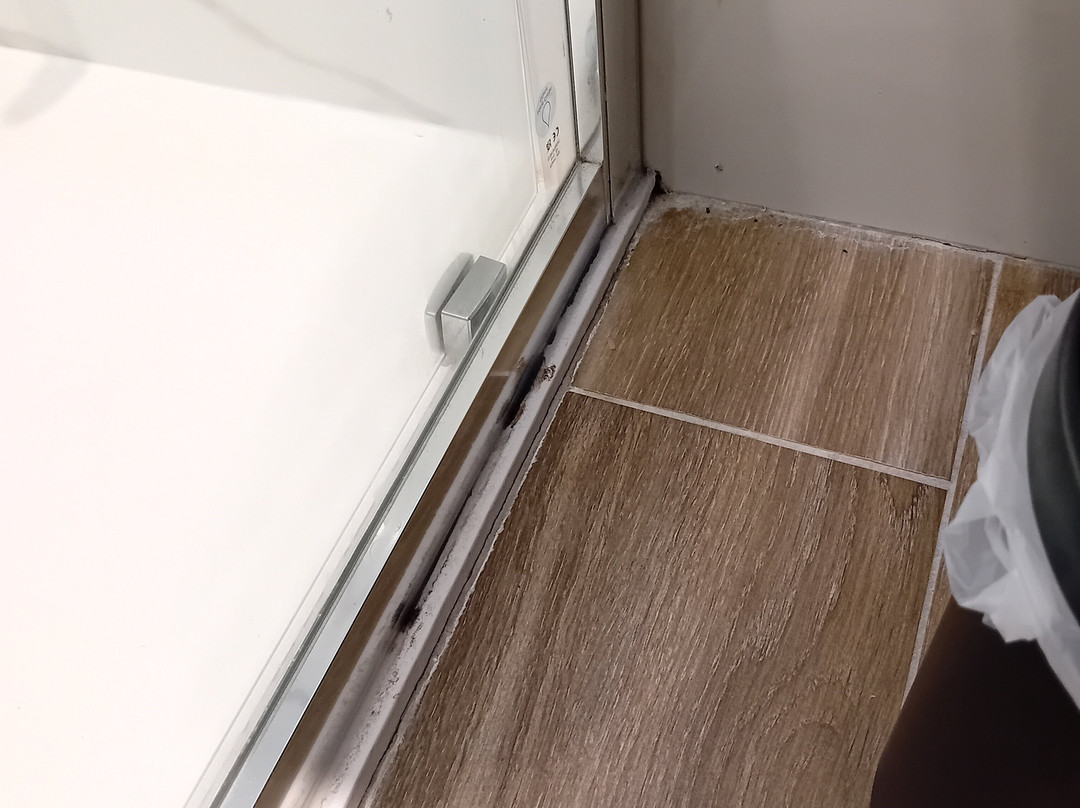 Tynecastle Park Hotel主图