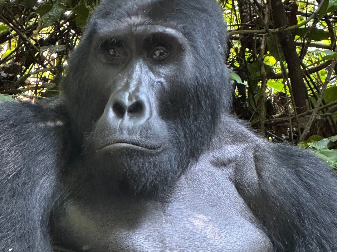 Mamaland Safaris-坎帕拉必去景点