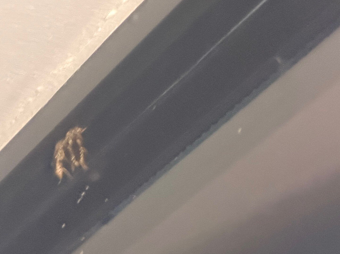 TownePlace Suites by Marriott Tulsa North/Owasso主图