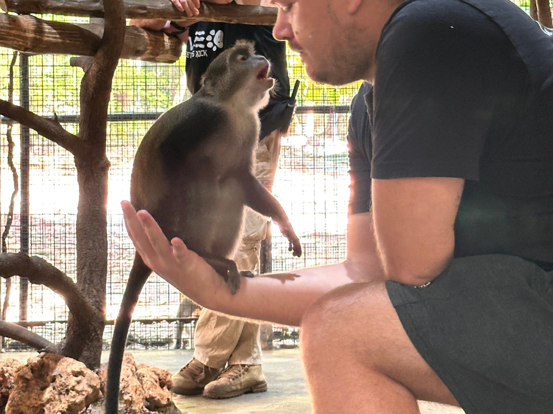 猎豹动物园-桑给巴尔岛必去景点