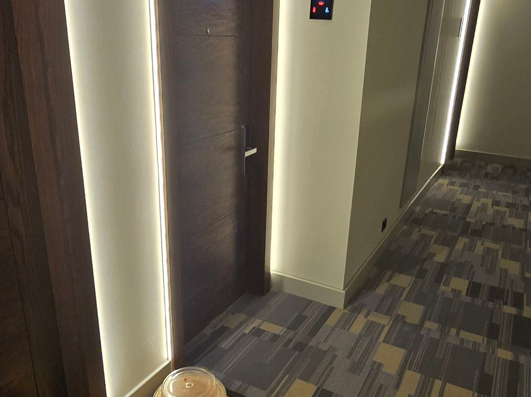 Eskisehir Dedeman智能酒店主图