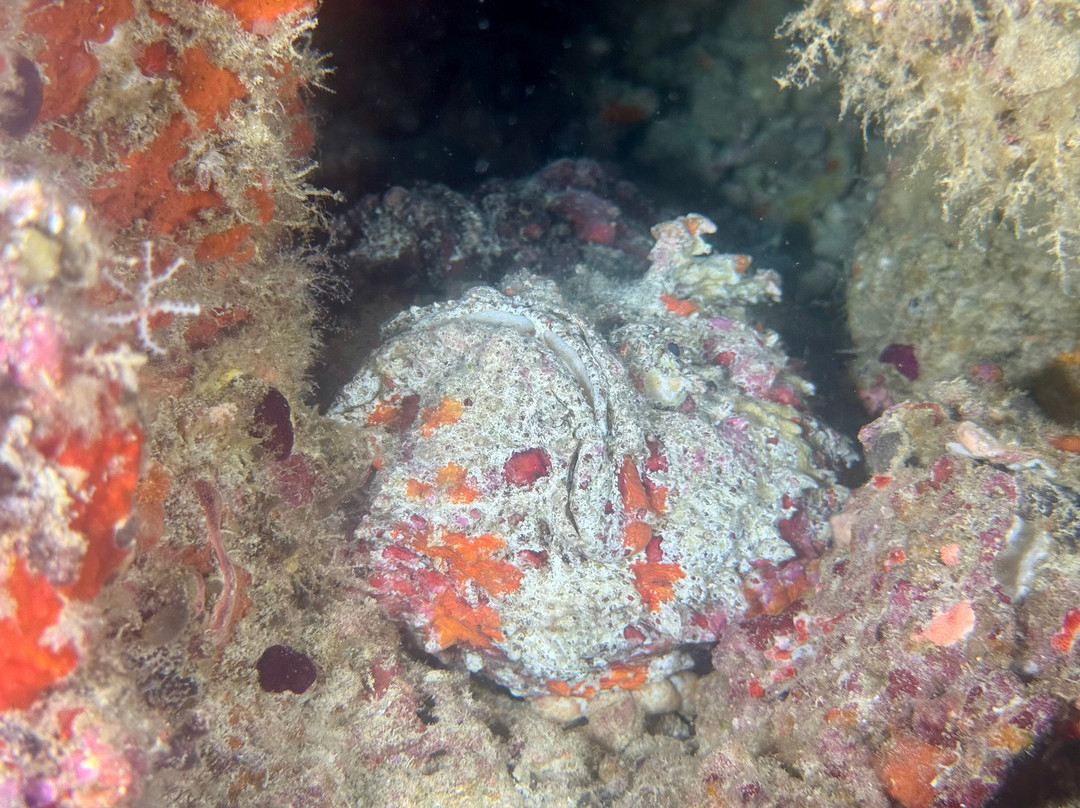 Dune Maldives-胡鲁马累必去景点