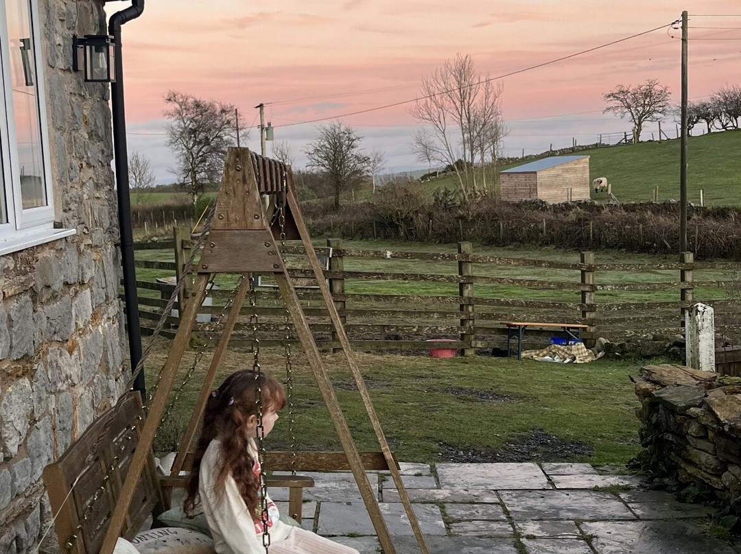 Woolly Experiences, Nercwys, Mold-Mold必去景点