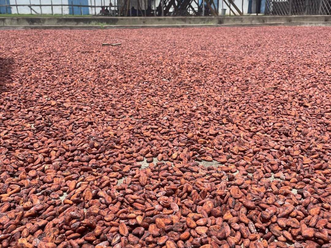 Bitsy Tour-Belamandy必去景点