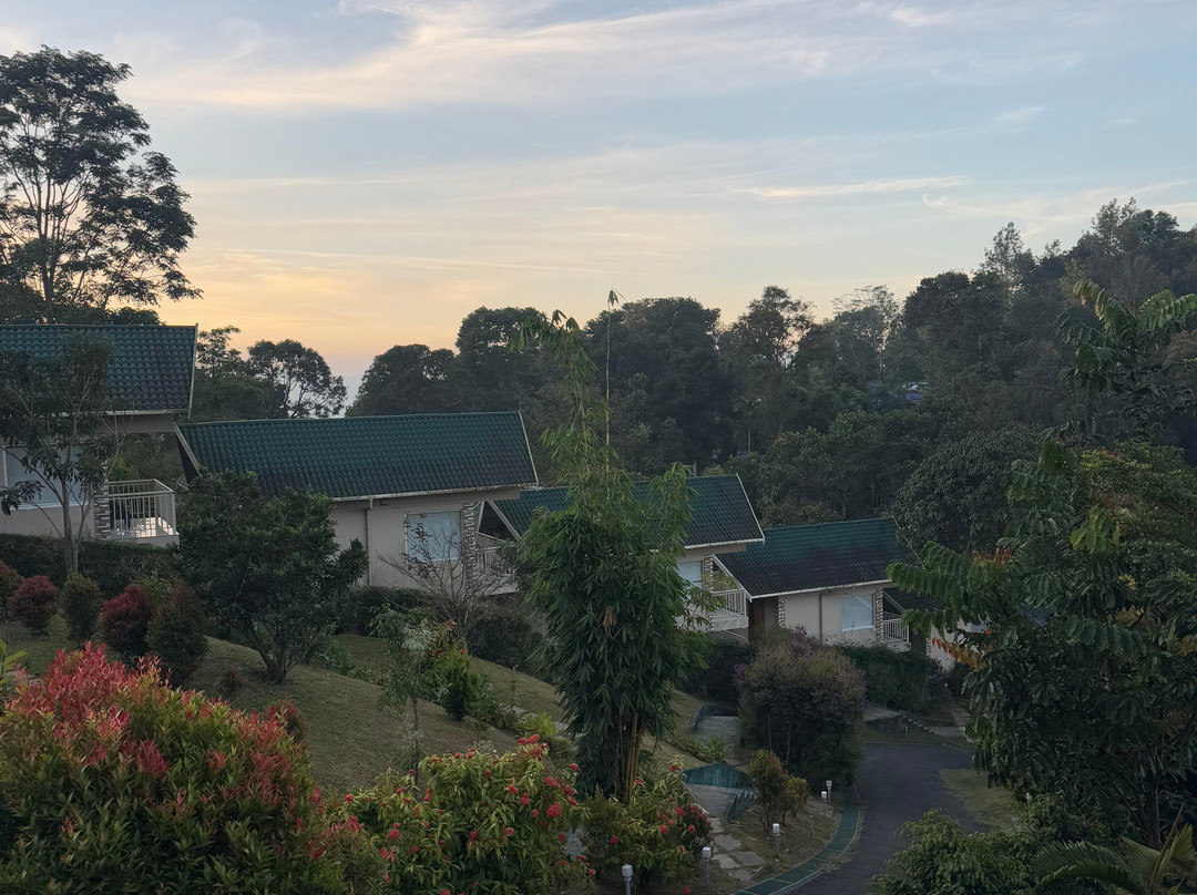 Aveda Mountains And Mist - Munnar主图