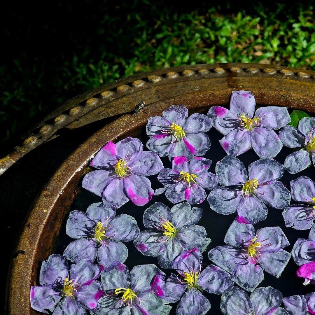 普吉岛麦考安纳塔拉别墅度假酒店-官方