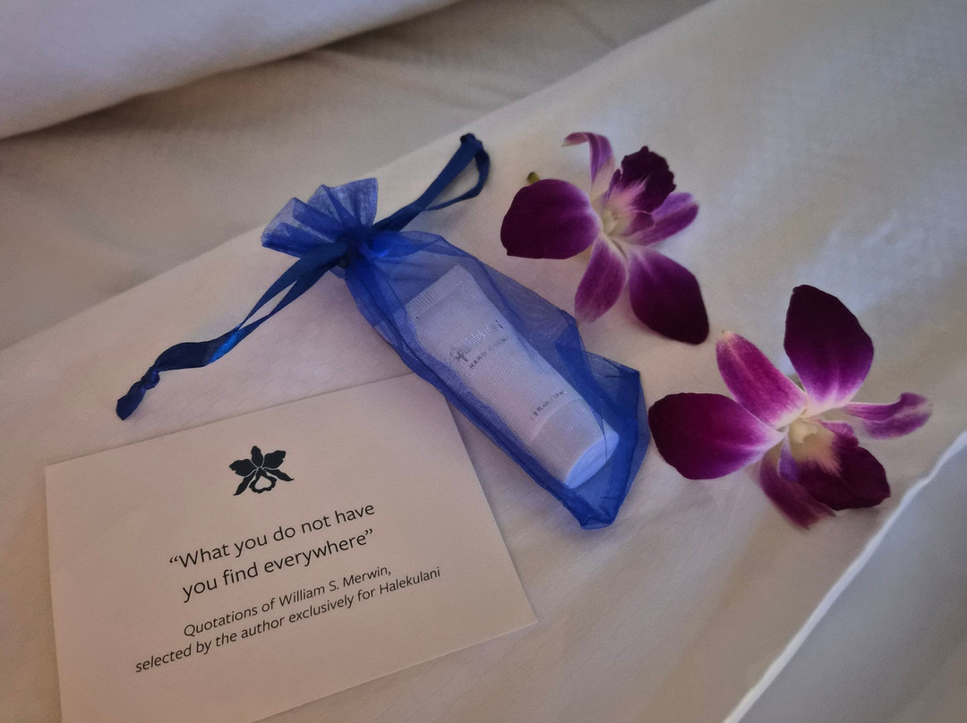 哈利库拉尼酒店主图