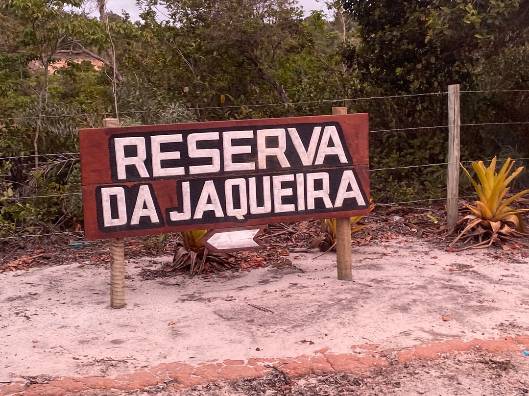 Reserva Pataxo da Jaqueira-Porto Seguro必去景点