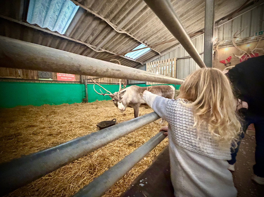 Walby Farm Park-Crosby on Eden必去景点