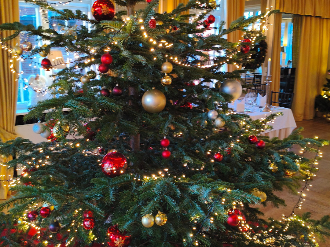 Sauntehus Castle Hotel主图