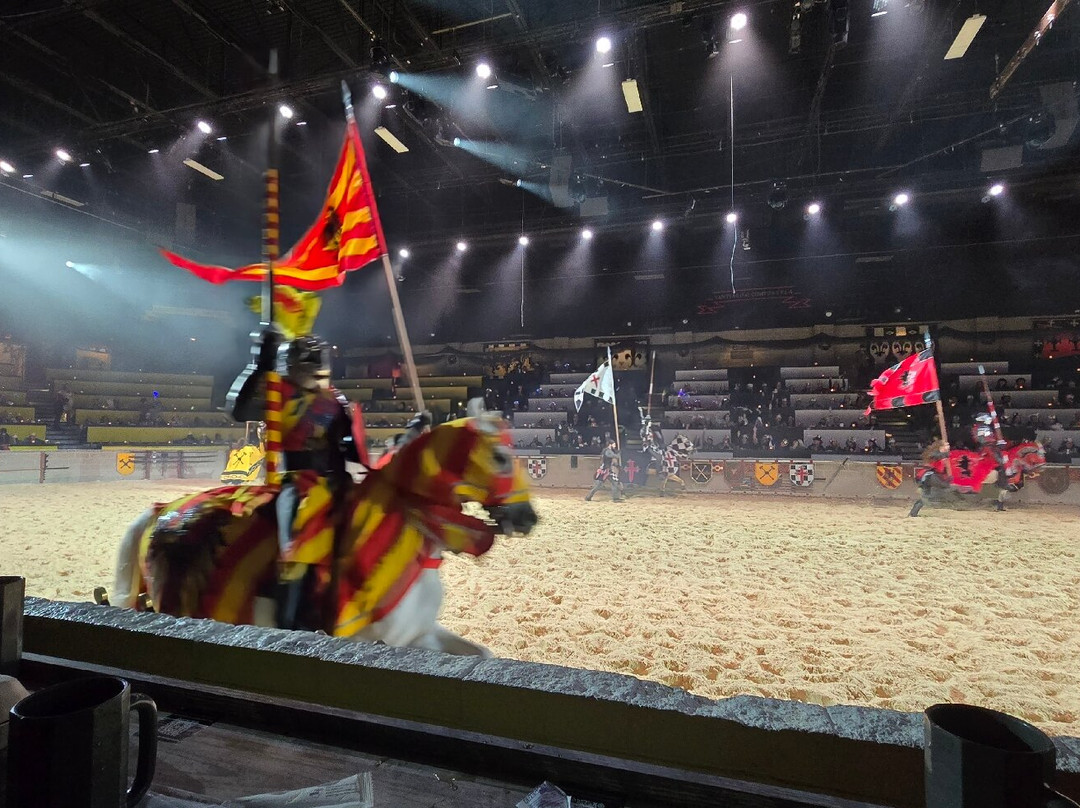 Medieval Times-绍姆堡必去景点