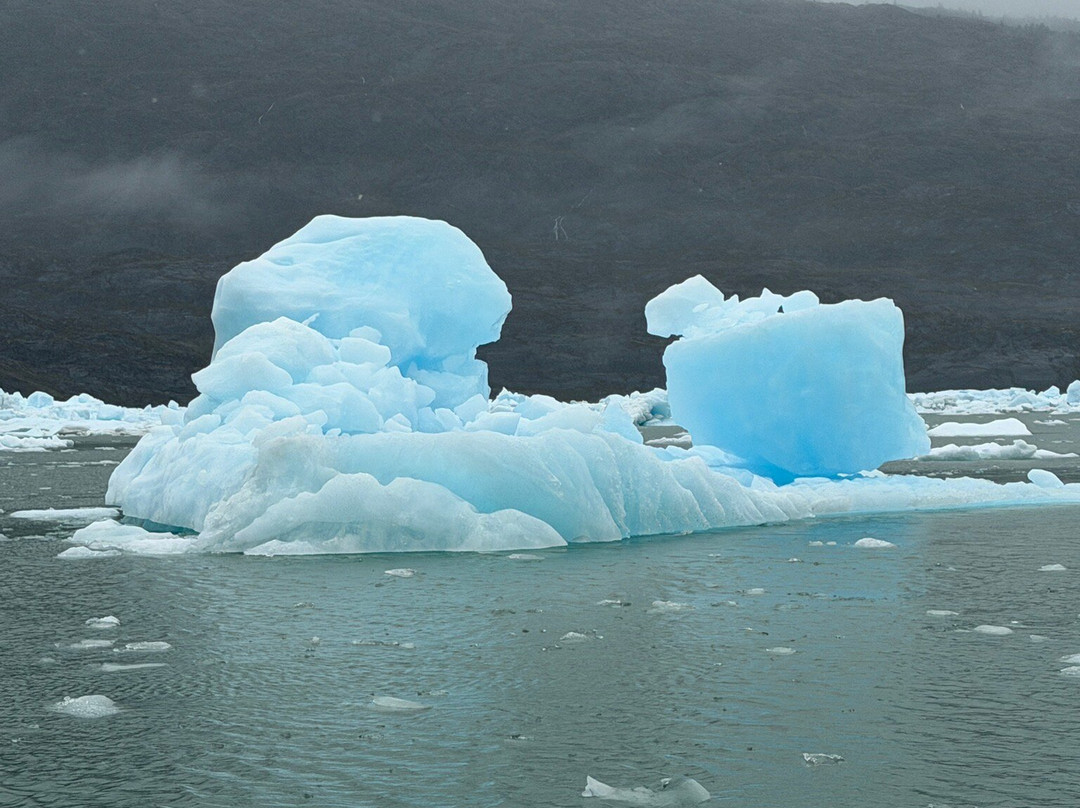 Canales Australes-Tortel必去景点