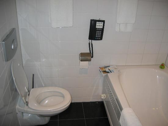 金色郁金香酒店