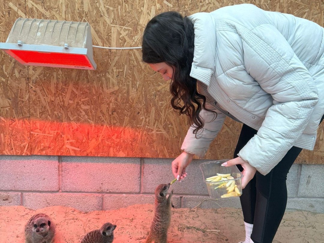 Holmes Chapel Zoo-Holmes Chapel必去景点