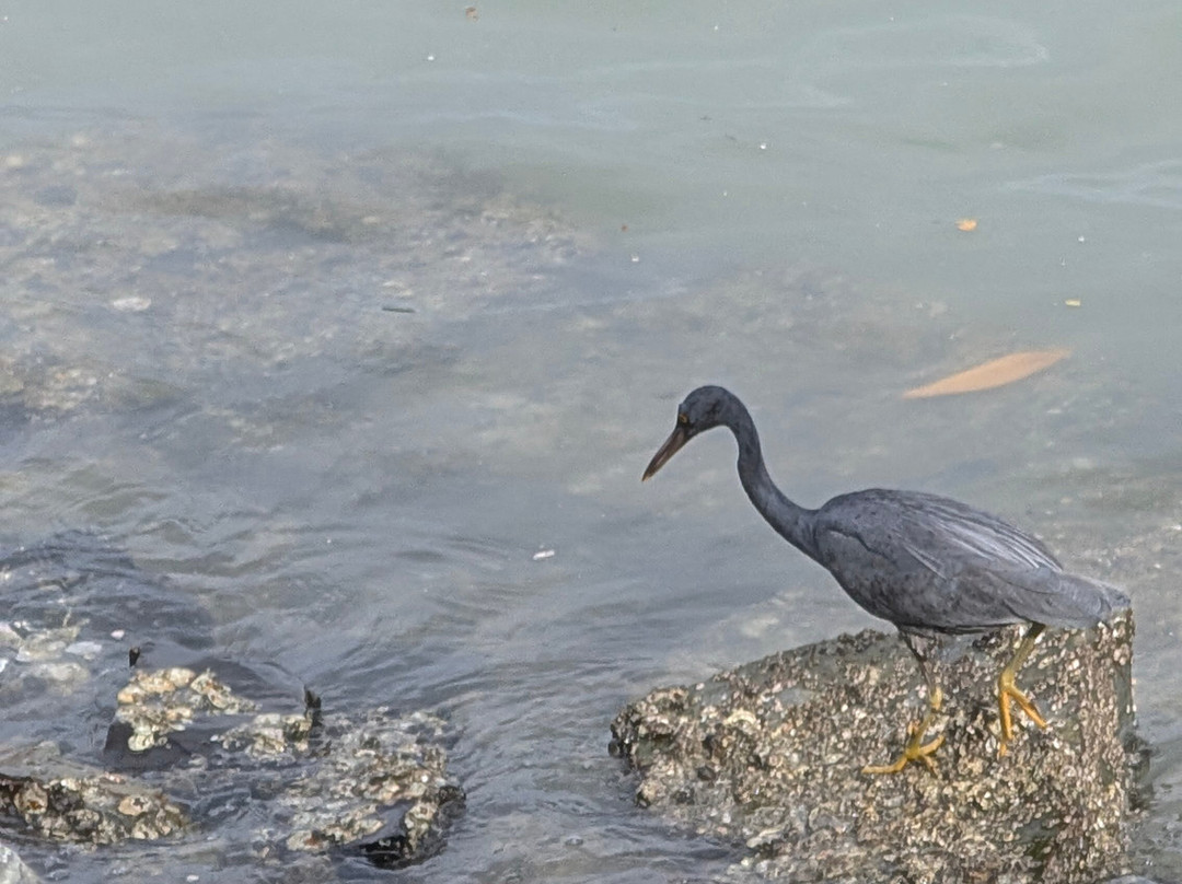 Blu Odyssey-布莱尔港必去景点