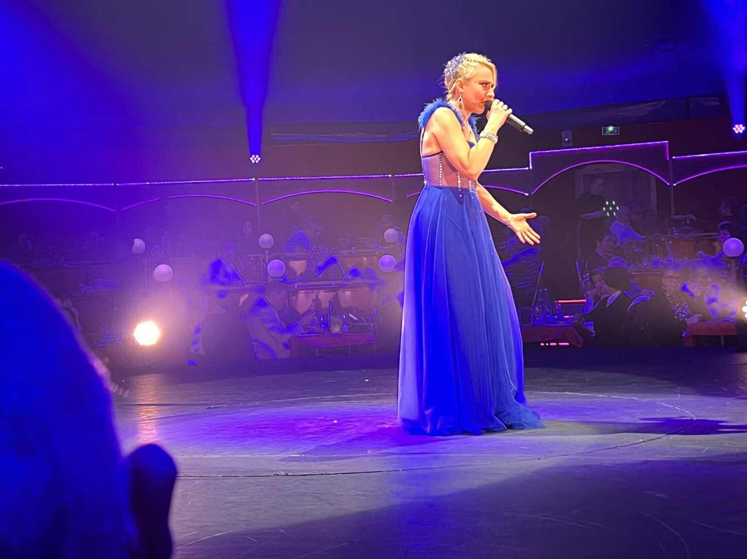 Cabaret Cirque National Palace-Vierzon必去景点