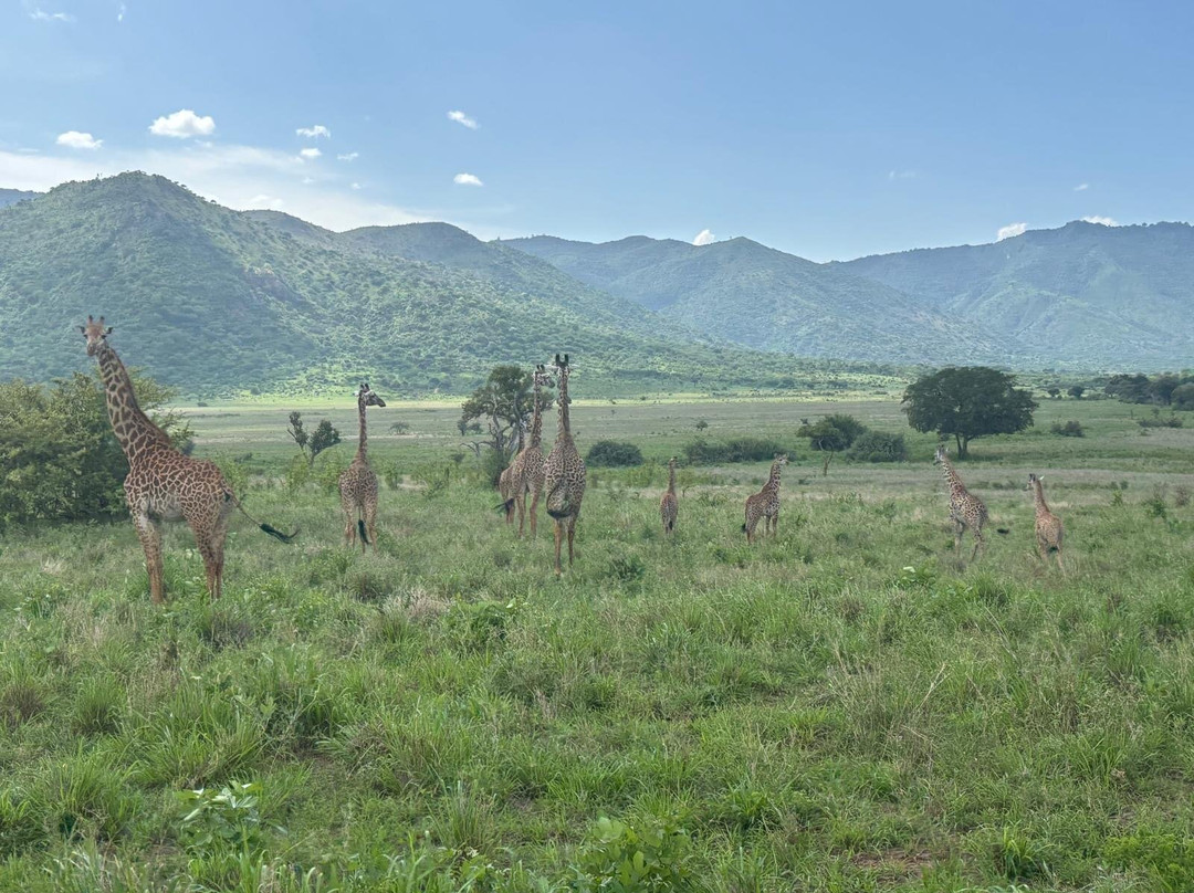 Zara Tanzania Adventures-莫西必去景点