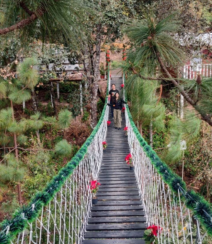 Salto De Pendulo "los Pinos"-San Jose del Pacifico必去景点