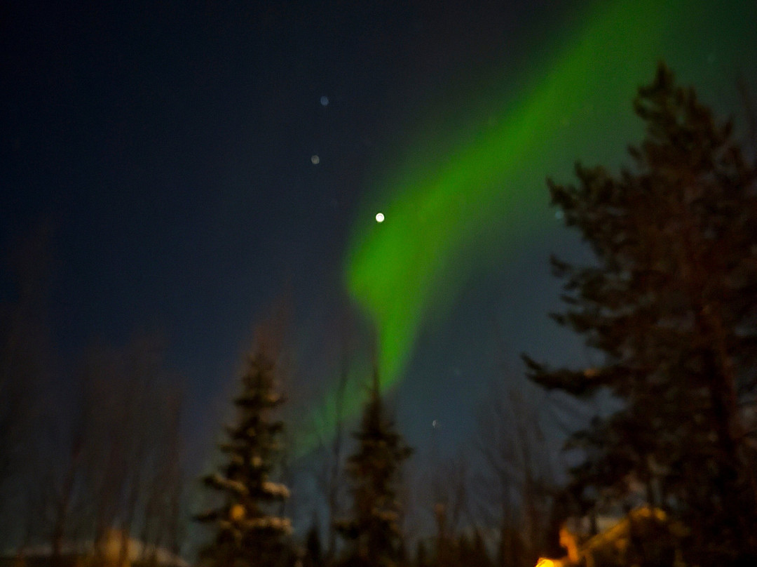 Lapland Safaris Yllas-Akaslompolo必去景点