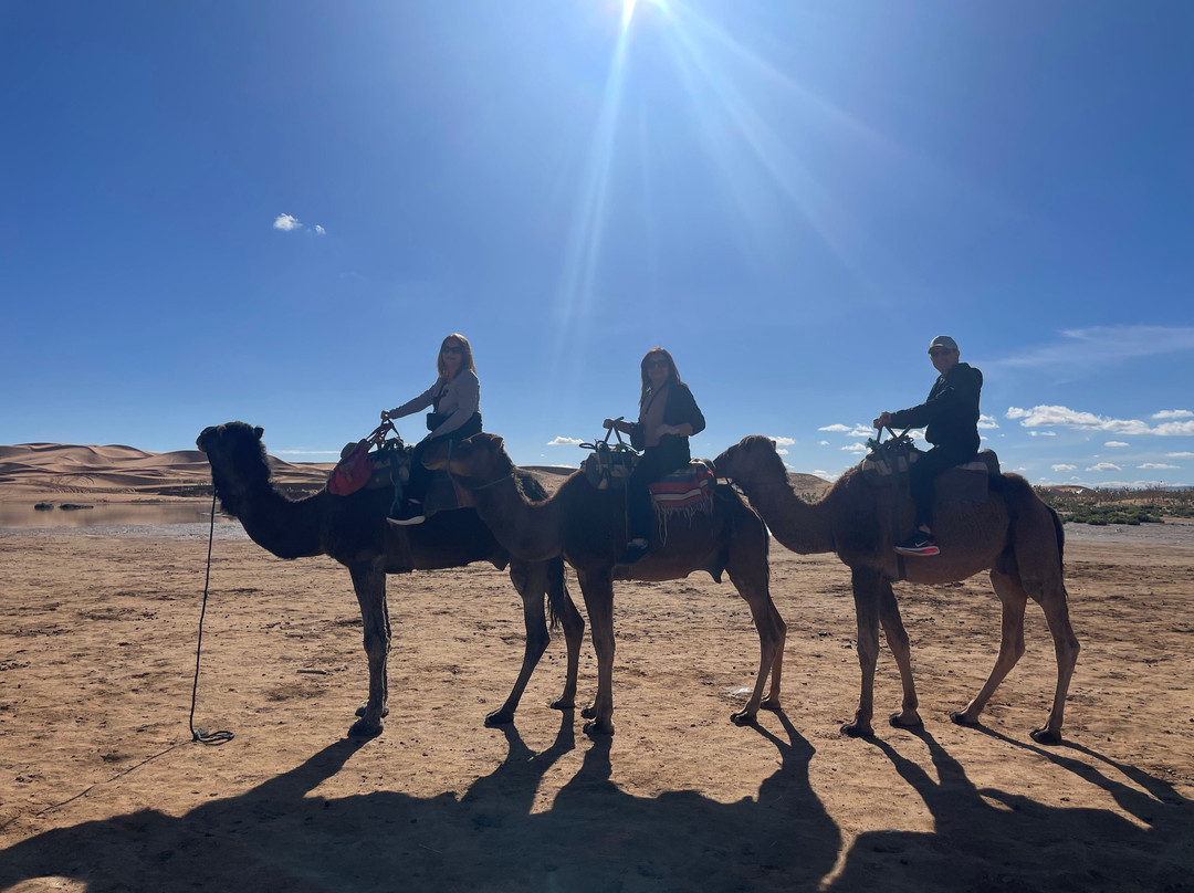 Morocco Vacations-梅如卡必去景点