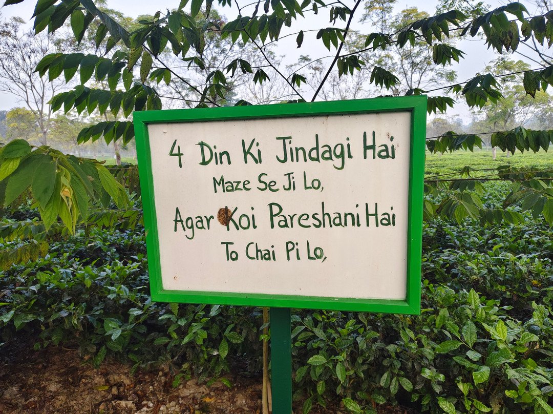 MAYFAIR Tea Resort主图