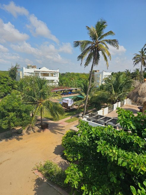 The C Resort & Residences-官方