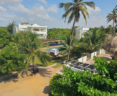 The C Resort & Residences主图