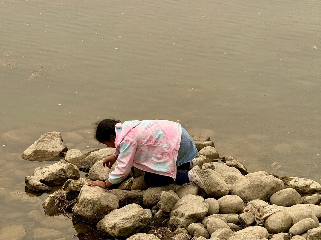 Narayani River-奇旺国家公国必去景点