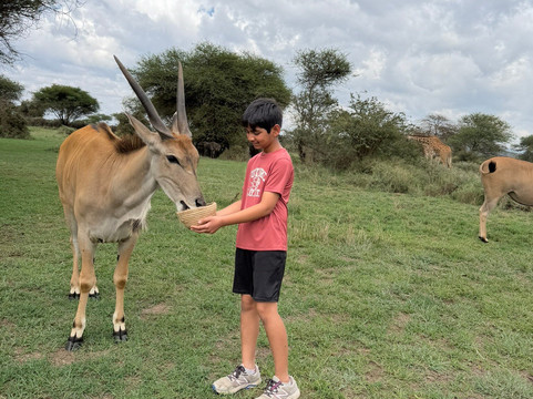 Season Master Adventures-阿鲁沙必去景点