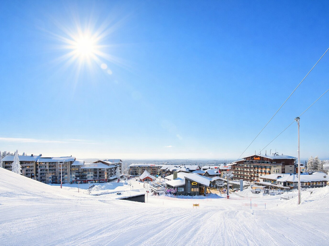Ruka Ski Chalets主图