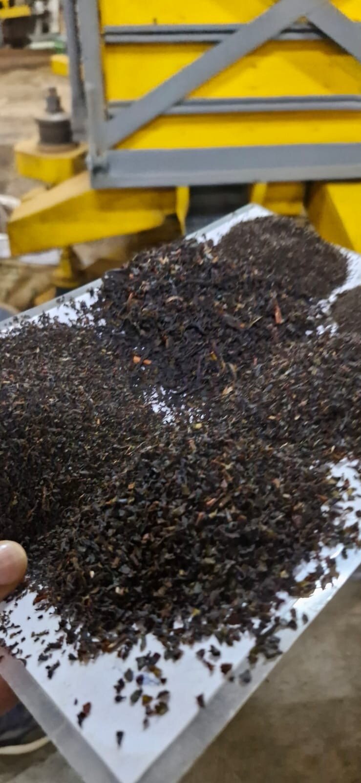 Parisons Plantation Experiences by Abad-官方