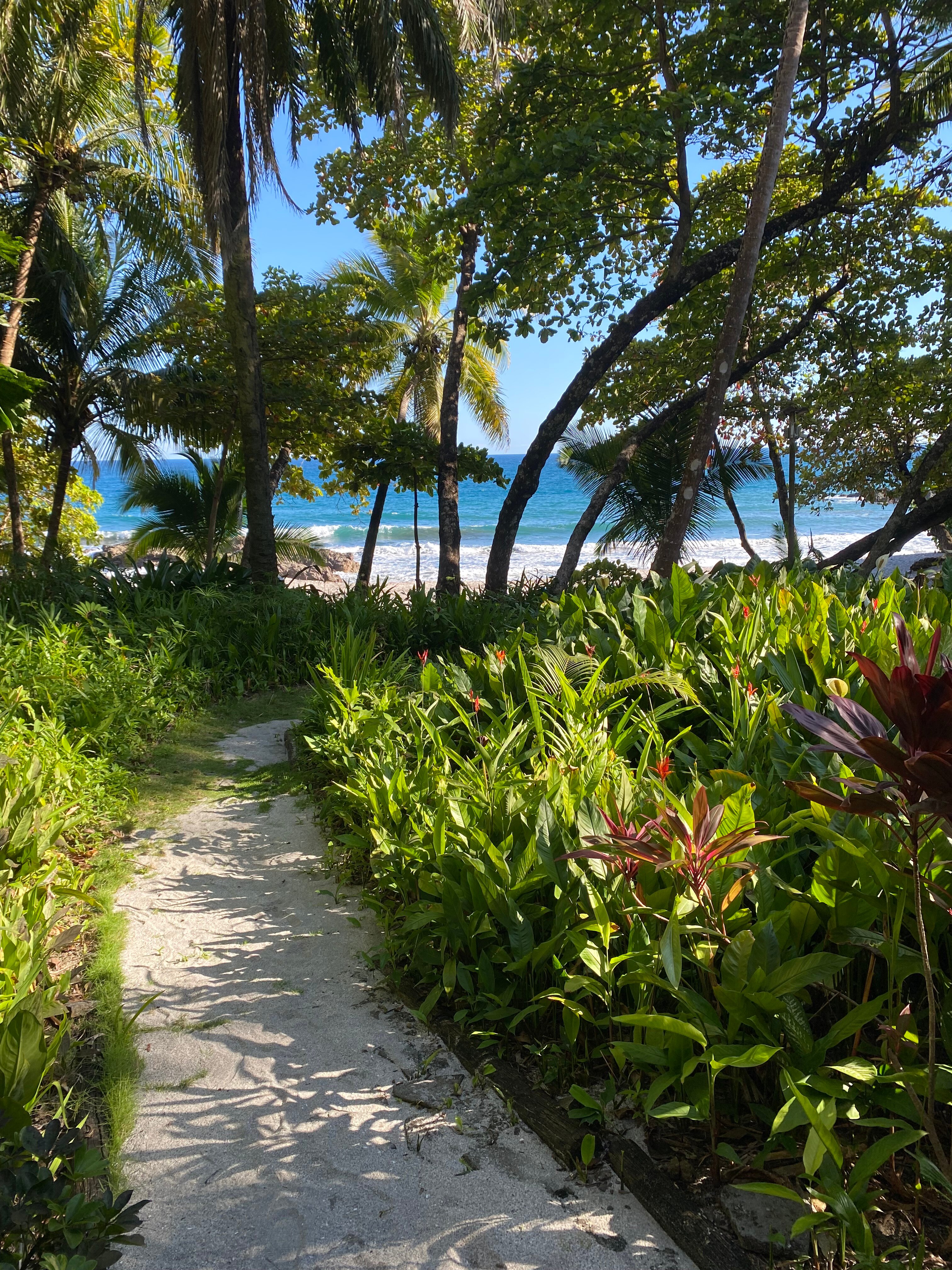 Ylang Ylang Beach Resort-浴室