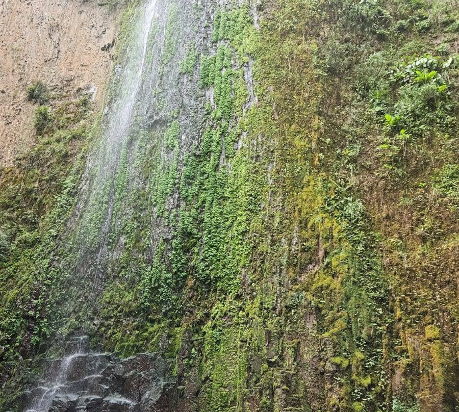 Cachoeira Da Meditacao-Coronel Vivida必去景点