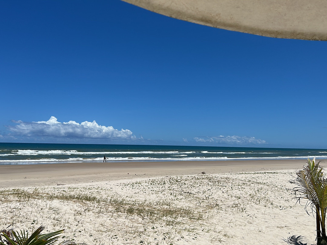 Ilheus North Hotel主图