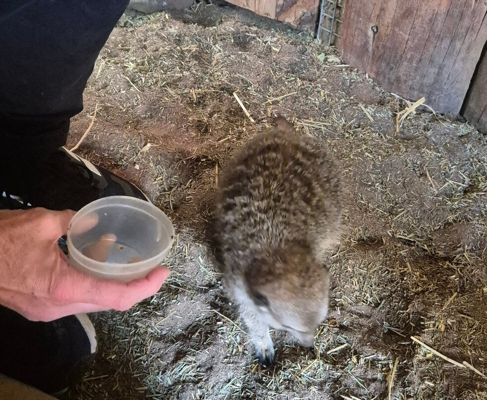 Fife Zoo-库珀必去景点