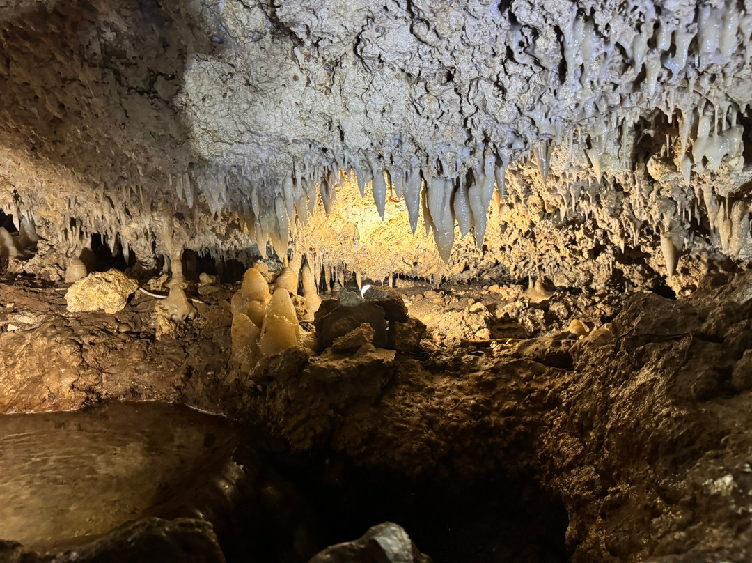 Harrison's Cave Eco-Adventure Park-Saint Thomas Parish必去景点