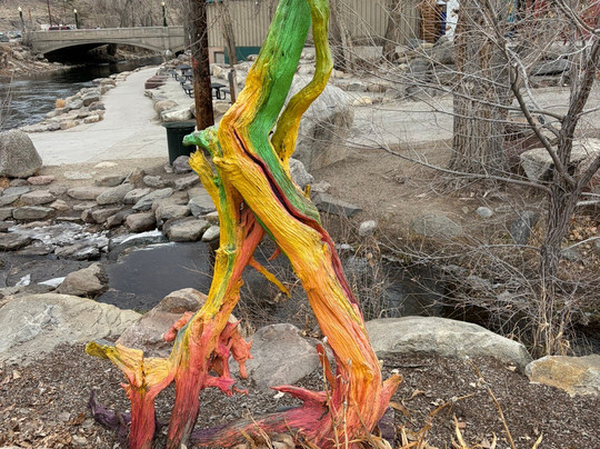 Woodland Motel主图