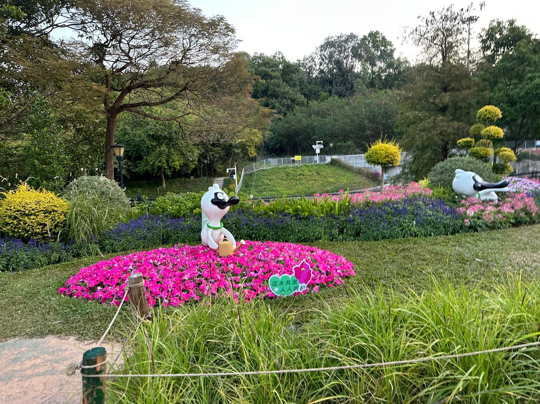 深圳中心公园-深圳市必去景点