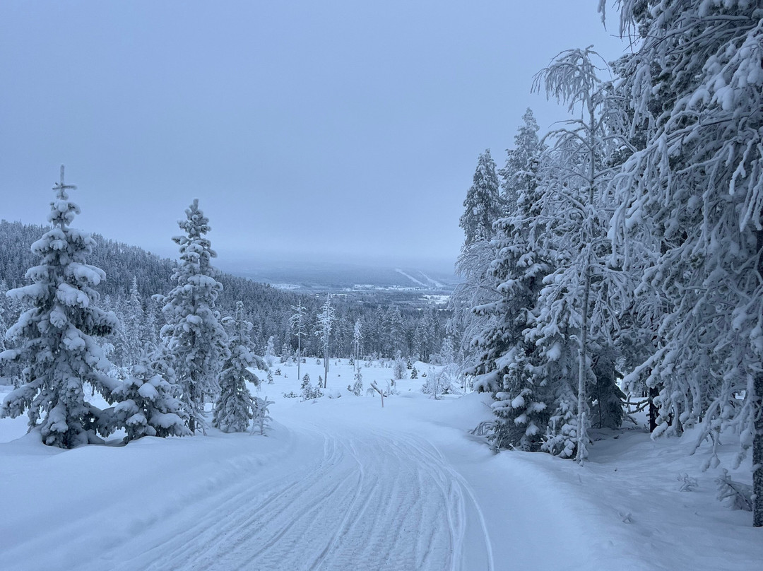 Aavasaksa Adventures-Ylitornio必去景点