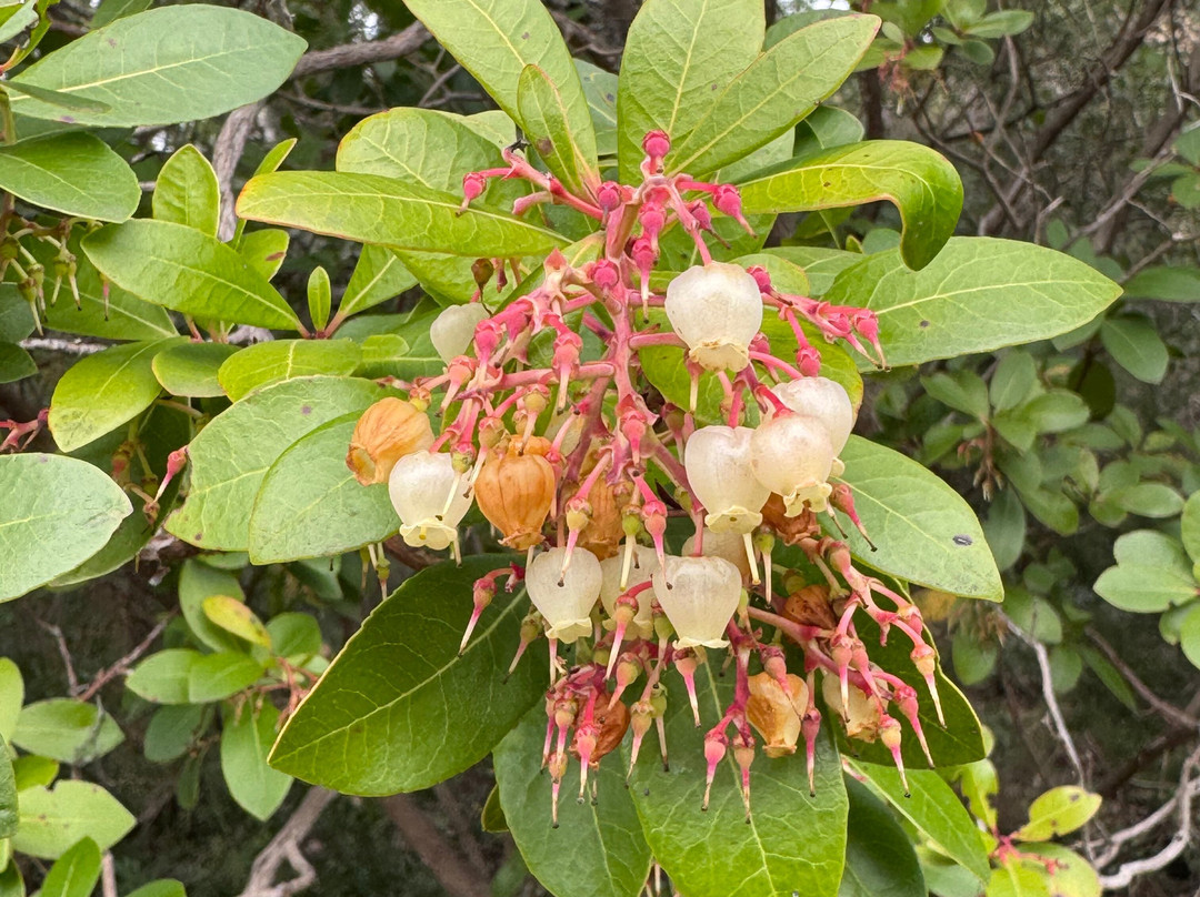 PerNatur - Nature Trails-奥良必去景点