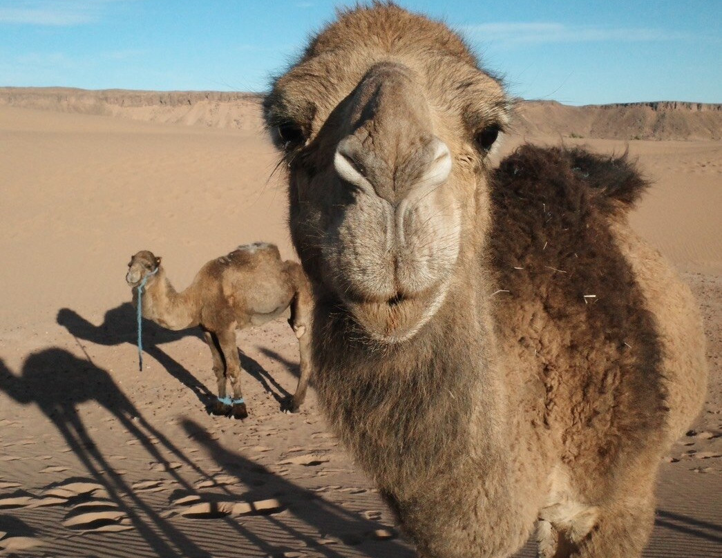 Eco Tourisme Trek Maroc-Azilal必去景点