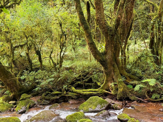 Kukummi Lodge (formerly Mackaya Bella Country Lodge)主图