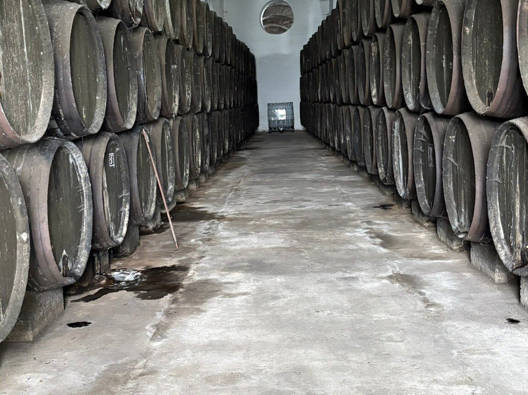 Bodegas Barbadillo-Sanlucar de Barrameda必去景点