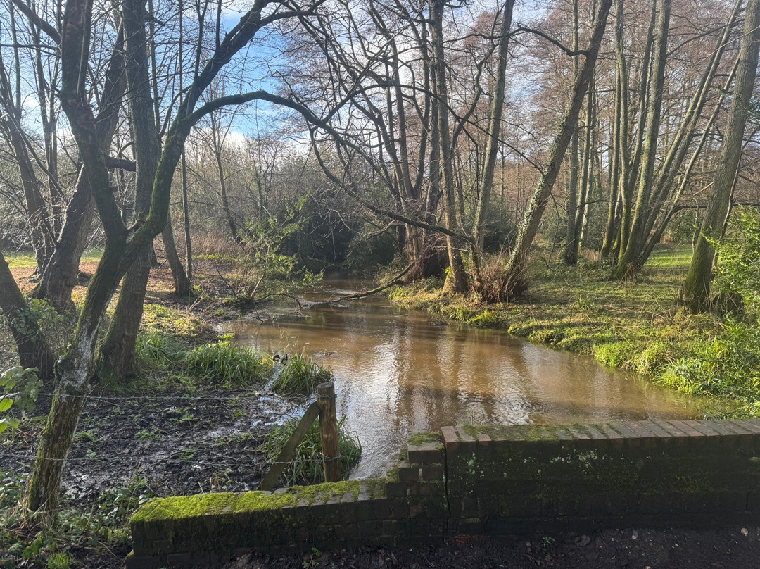 Silent Pool Distillers-Albury必去景点