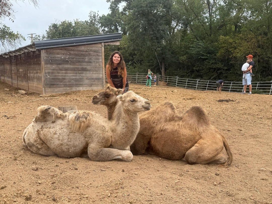 Les Animaux De Fairytale-Cap-d'Agde必去景点